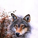 ���� �����, ���������, 44 ���� - ��������� 29 ����� 2016 � ������ ���� ����������