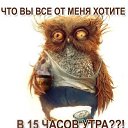 ���� ���������, ������ - ��������� 22 ����� 2016 � ������ ������ ��������
