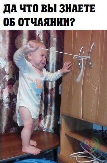 ������ ������� - 17 ���� 2016 � 15:27