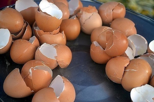 Почему не нужно выбрасывать яичную скорлупу? 1. Лечим многие болезни Употребление яичной скорлупы ...