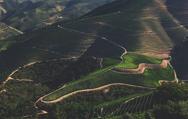 Douro Valley, Portugal