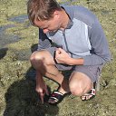 ���� ��������, ������, 43 ���� - ��������� 17 ������ 2016 � ������ ���� ����������