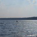 ���� �������, ��������� - ��������� 31 ���� 2016 � ������ ������ ��������