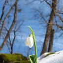  , -, 59  -  12  2016    