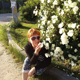 �������, �������, 43 ����