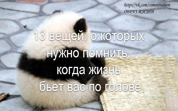 13 вещей, о которых нужно помнить, когда жизнь бьет вас по голове.У каждого из нас случались трудные ...