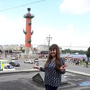 ���� ����, �����-���������, 42 ���� - ��������� 13 ������� 2016