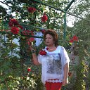 ���� �����, �����-��������� - ��������� 29 ��� 2016