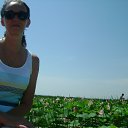 ���� �����, ��������, 56 ��� - ��������� 14 ������� 2016