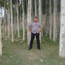 �����, ������, 49 ���