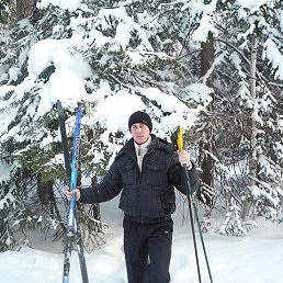 ���� �������, �������, 41 ��� - ��������� 3 ��� 2016