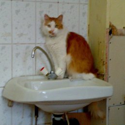 ���������� ���.�� ������� !!!