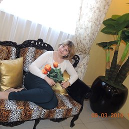 ���� �����, ������������, 53 ���� - ��������� 15 ������ 2016