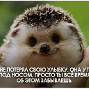 ���� �����, �����-��������� - ��������� 28 ����� 2016 � ������ ������ ��������