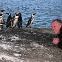 ���� ���������, ������������, 61 ��� - ��������� 26 ���� 2016 � ������ �����������