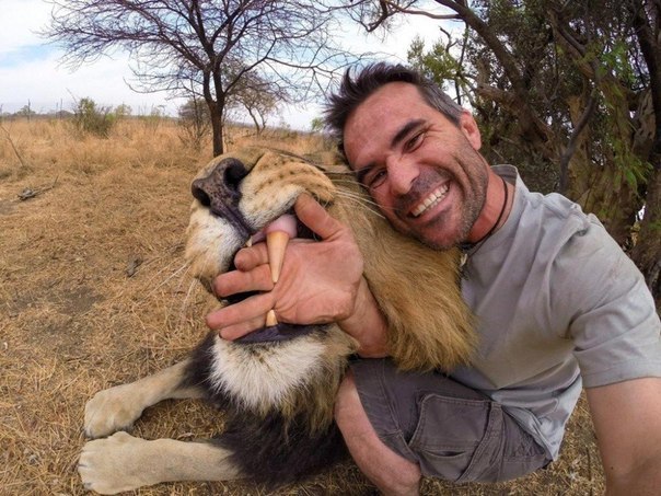  -  - 28  2016  12:21