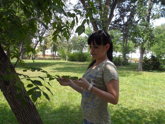 ���� - 29 ���� 2016 � 14:47 - 4