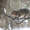 ���� �������, �����-���������, 55 ��� - ��������� 3 ������� 2016 � ������ ��������