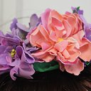 ���� ������, �����, 36 ��� - ��������� 25 ���� 2016 � ������ ����������