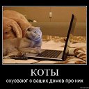 ���� �����, ������, 44 ���� - ��������� 20 ����� 2016 � ������ ������ ��������