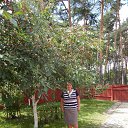  , , 68  -  10  2016     2016