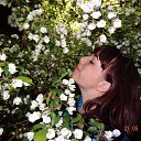 ���� ���, ����������� - ��������� 26 ��� 2016 � ������ ���� ����������