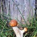 ���� �����, ������������, 59 ��� - ��������� 16 ���� 2016 � ������ ������ �����.�