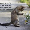  ********, - -  29  2016   