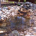 ���� ������, ������������, 65 ��� - ��������� 31 ����� 2016 � ������ ���� ����������