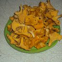 ���� ��������, ������, 64 ���� - ��������� 14 ��� 2016 � ������ ���� �����.�