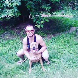 ���� ����, �������, 34 ���� - ��������� 15 ���� 2016