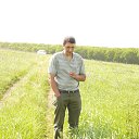 ���� �����, ������������, 46 ��� - ��������� 31 ������� 2016 � ������ ���� ����������