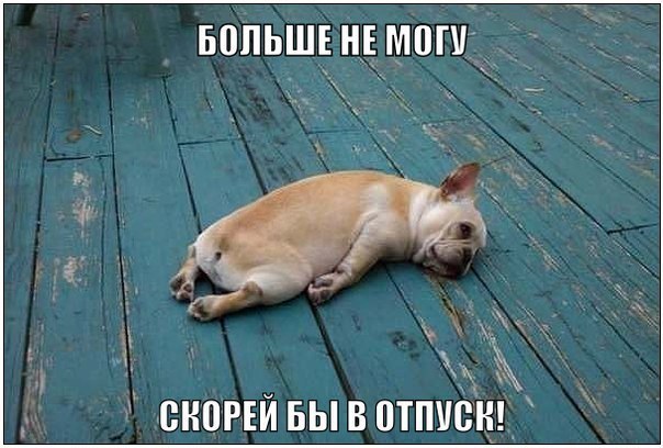 �������� ���� - 21 ����� 2016 � 05:05