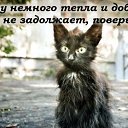 ���� ���������, �������, 65 ��� - ��������� 20 ���� 2016 � ������ �2017 ���