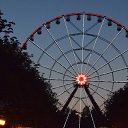 ���� �������, ���� - ��������� 8 ������� 2016 � ������ ������� ������� ��������� ���� ������