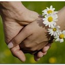 ���� �������, ������ - ��������� 23 ������ 2016 � ������ ���� ����������