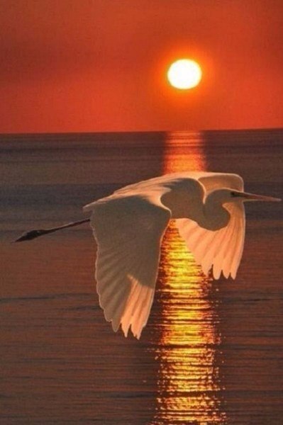 E s t h e t i q u e - 28  2016  06:55 - 4