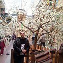 ���� �����, ������, 38 ��� - ��������� 11 ���� 2016 � ������ ���� ����������