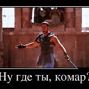 ���� ���������, �����, 50 ��� - ��������� 8 ���� 2016 � ������ ������ ��������