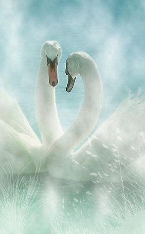 *...    .   .-, -  ...