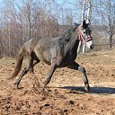 ���� ����, ��������, 31 ��� - ��������� 14 ���� 2016 � ������ �=)�