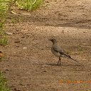 ����������. �� ������� ���������.�