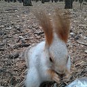 ���� �������, ���������� - ��������� 9 �������� 2016 � ������ ���� ����������