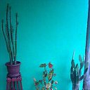 ���� Makaterine, �������, 54 ���� - ��������� 17 ���� 2016 � ������ �odabade�