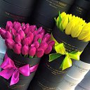 ���� ���������, ������-��-����, 55 ��� - ��������� 21 ���� 2016 � ������ ���� ����������