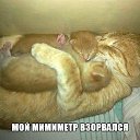 ���� ������, ���������, 60 ��� - ��������� 12 ��� 2016 � ������ ������ ��������