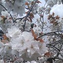 ���� Lana, ������, 54 ���� - ��������� 23 ������ 2016 � ������ �Mobile Uploads�