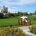 ���� �����, ���������, 61 ��� - ��������� 10 ������� 2016 � ������ ���� �������!))�