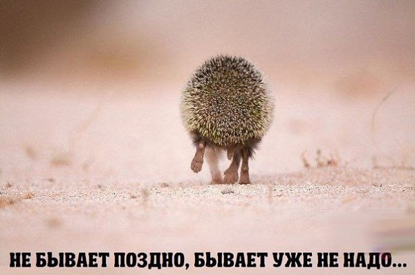   ,   .© - 15  2016  22:34