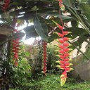 ������������� ����. �� ������� �travels�